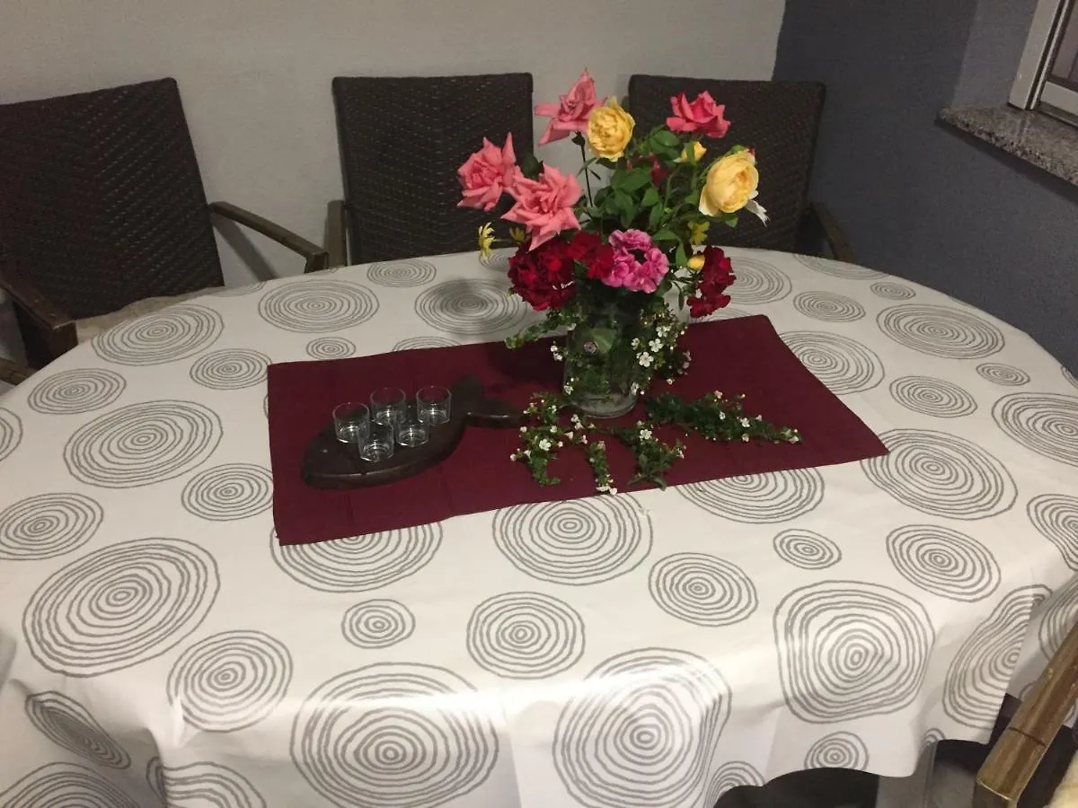 Apartment Roko Vir