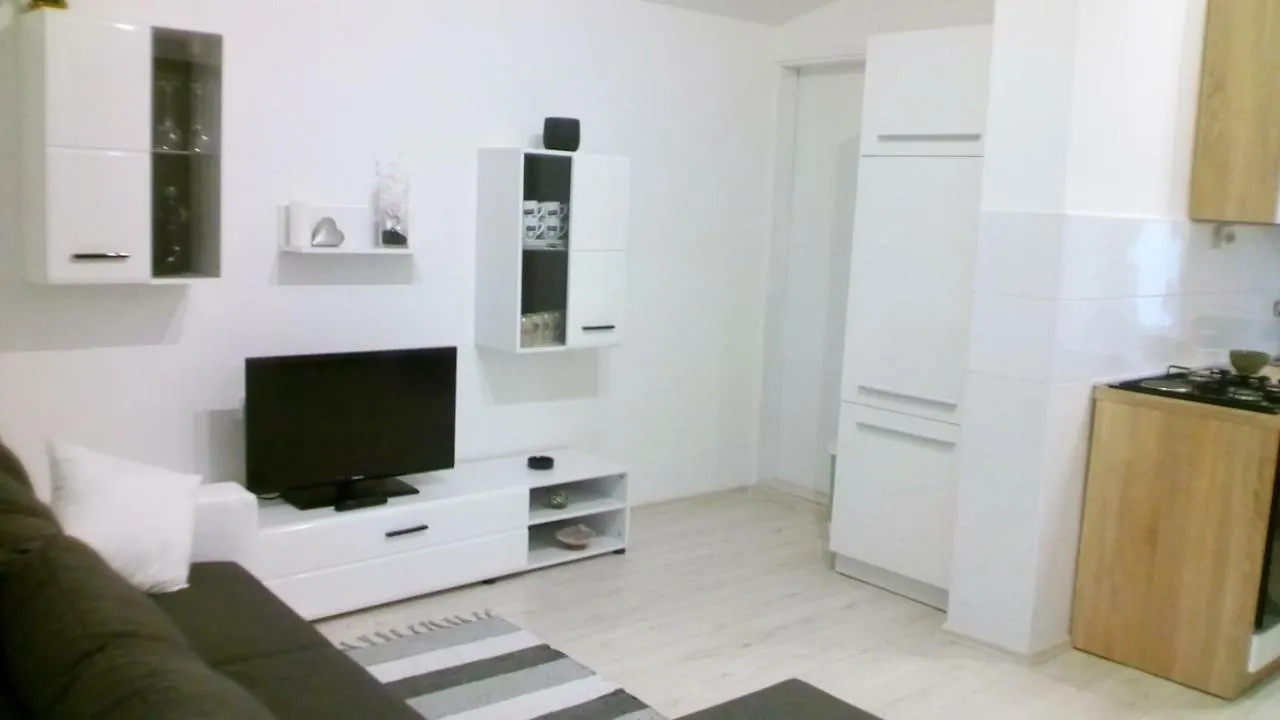 Apartment Roko Vir