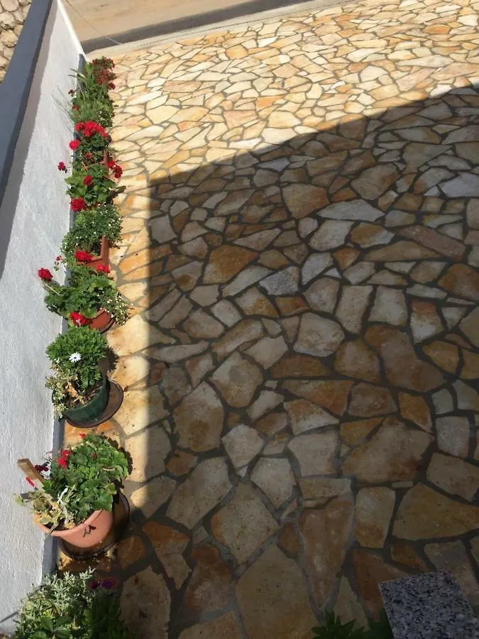Apartment Roko Vir