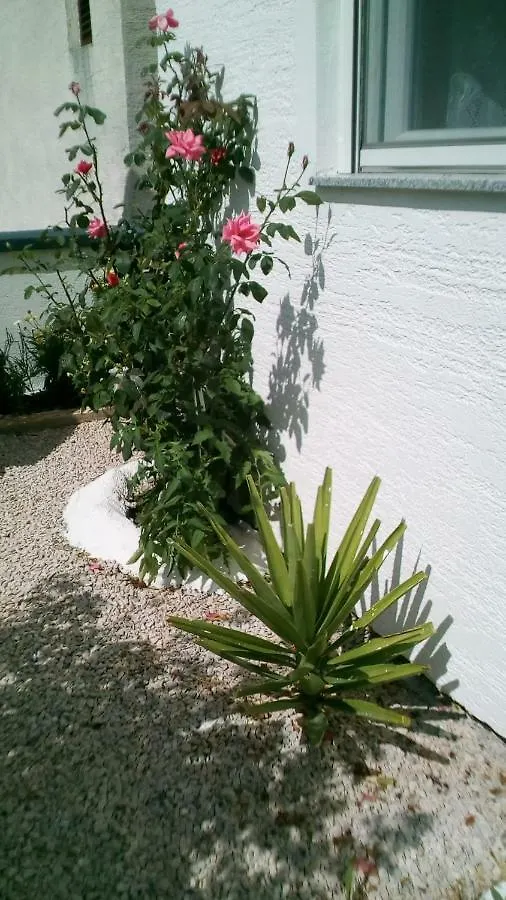 Apartment Roko Vir Kroatien